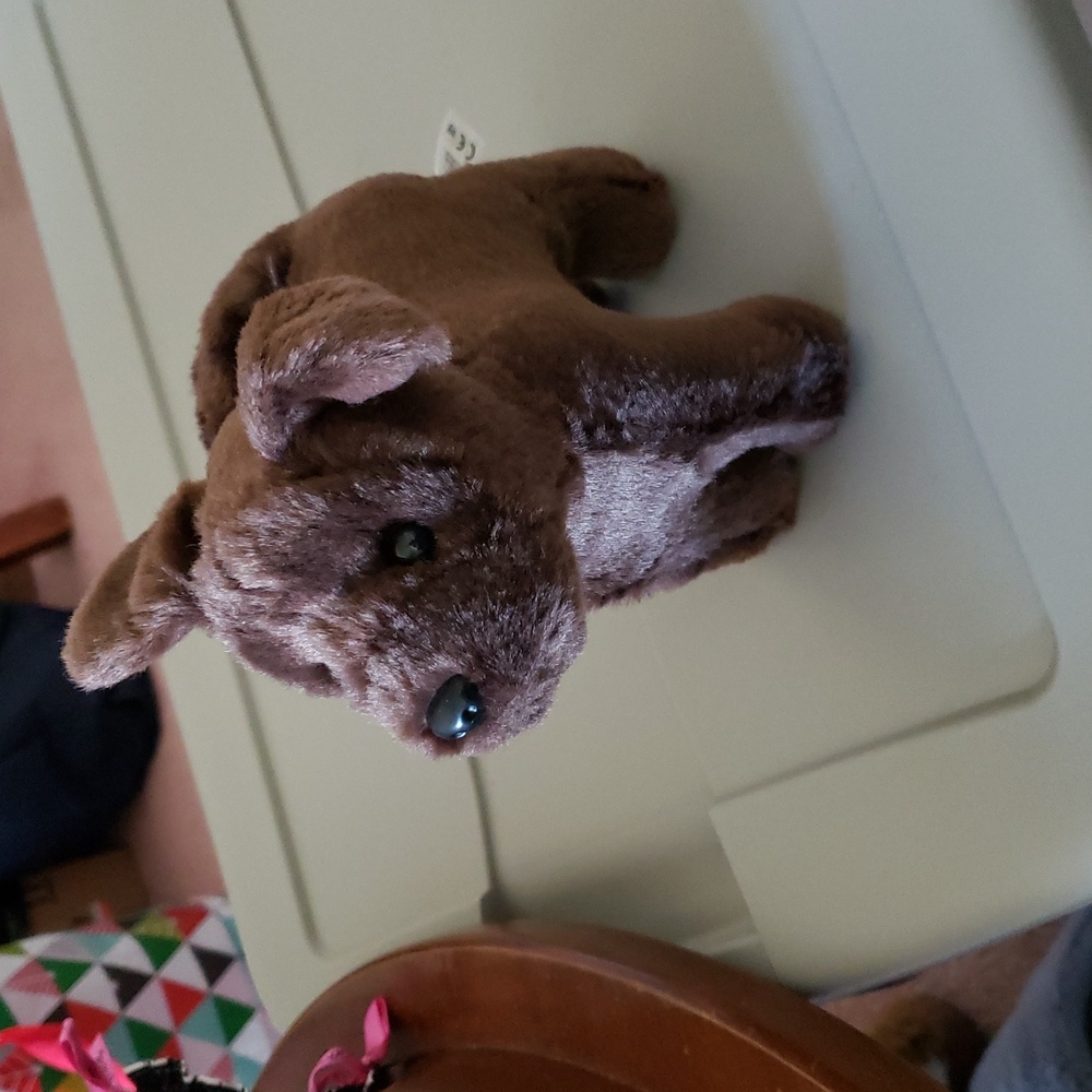 Doll dog